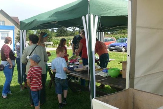 Festyn w Goniembicach (zdjęcia)