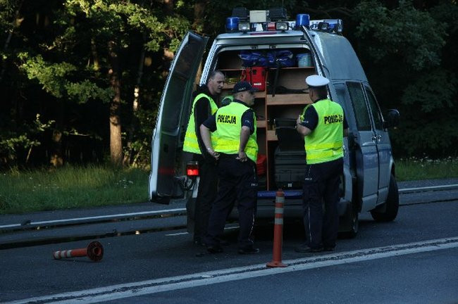 Tragiczny wypadek pod Lesznem! (zdjęcia i dźwięk)