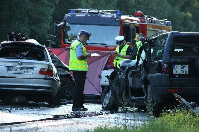 Tragiczny wypadek pod Lesznem! (zdjęcia i dźwięk)