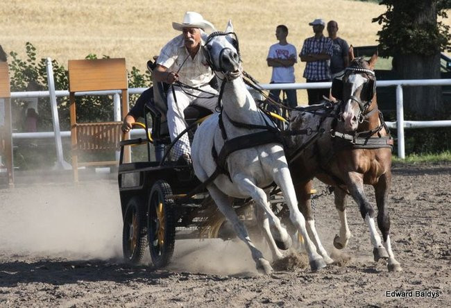 Pogoda dopisała, piknik się udał (dużo zdjęć)