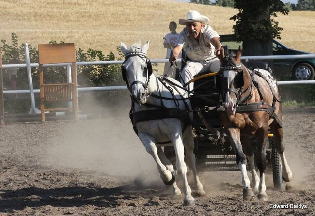 Pogoda dopisała, piknik się udał (dużo zdjęć)