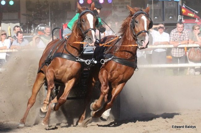 Pogoda dopisała, piknik się udał (dużo zdjęć)