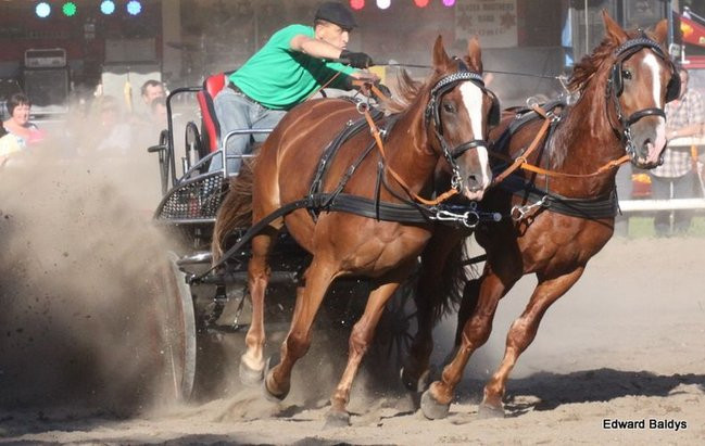 Pogoda dopisała, piknik się udał (dużo zdjęć)
