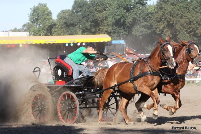 Pogoda dopisała, piknik się udał (dużo zdjęć)