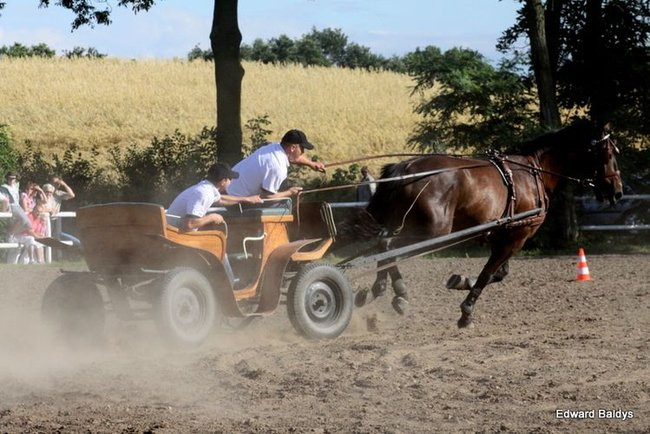 Pogoda dopisała, piknik się udał (dużo zdjęć)