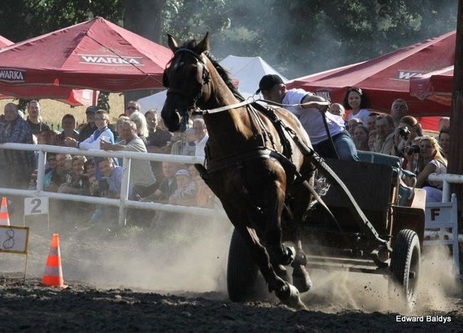 Pogoda dopisała, piknik się udał (dużo zdjęć)