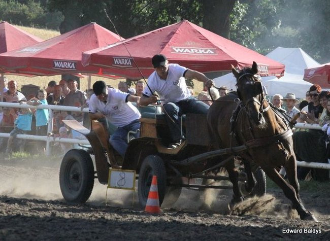 Pogoda dopisała, piknik się udał (dużo zdjęć)