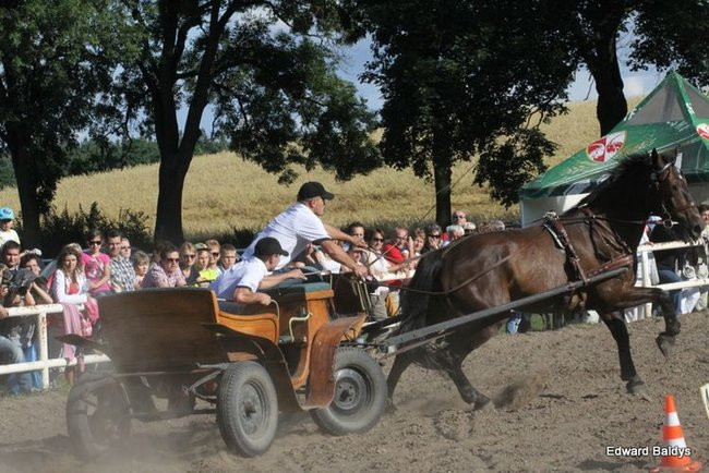 Pogoda dopisała, piknik się udał (dużo zdjęć)