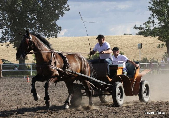 Pogoda dopisała, piknik się udał (dużo zdjęć)