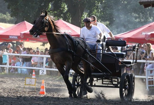 Pogoda dopisała, piknik się udał (dużo zdjęć)