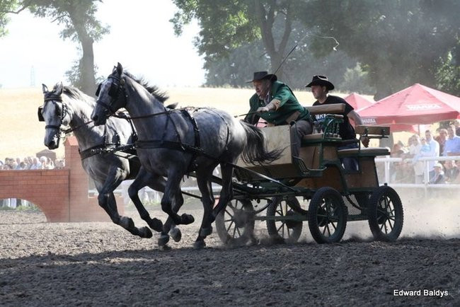 Pogoda dopisała, piknik się udał (dużo zdjęć)