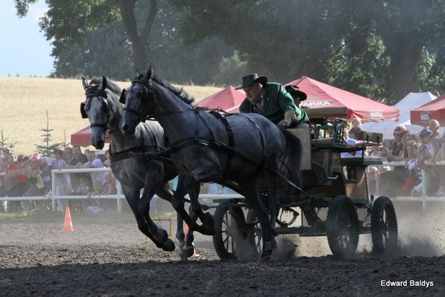 Pogoda dopisała, piknik się udał (dużo zdjęć)