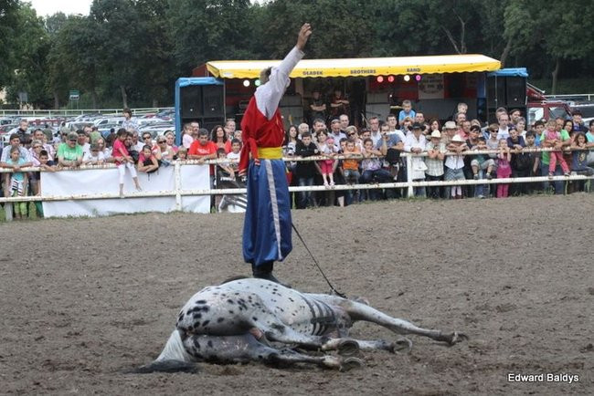 Pogoda dopisała, piknik się udał (dużo zdjęć)