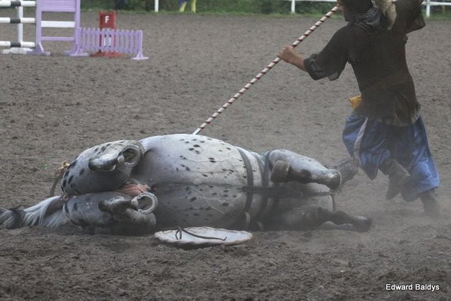 Pogoda dopisała, piknik się udał (dużo zdjęć)