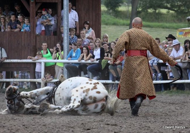 Pogoda dopisała, piknik się udał (dużo zdjęć)