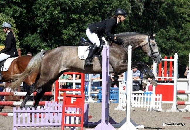 Pogoda dopisała, piknik się udał (dużo zdjęć)