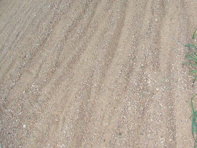 Leszczyńska Masa Krytyczna krytykuje (zdjęcia)