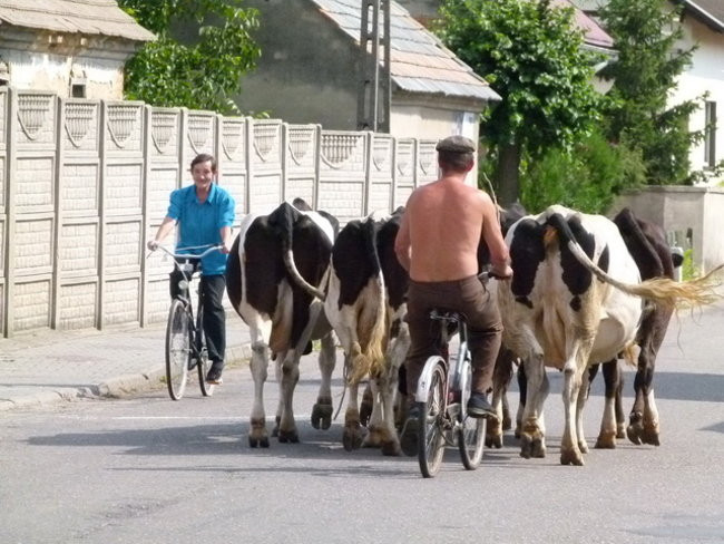 Wędrowali po pojezierzu (zdjęcia)