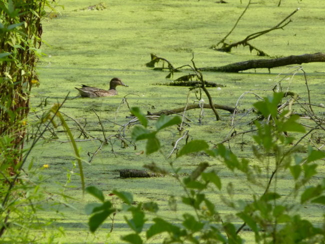 Wędrowali po pojezierzu (zdjęcia)