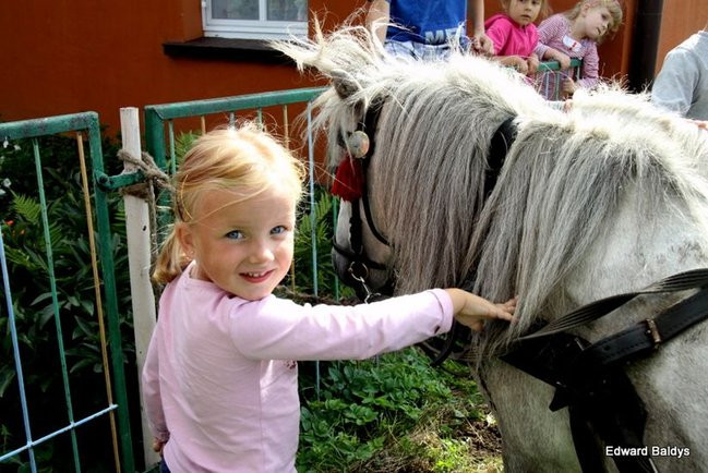 Dożynki Parafialne w Sądzi (zdjęcia)