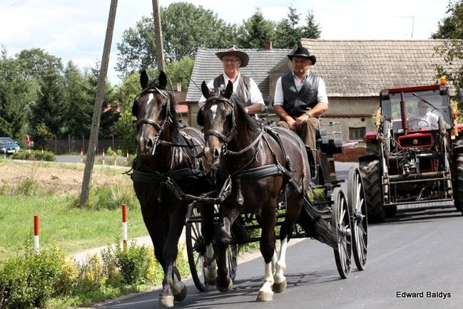 Dożynki Parafialne w Sądzi (zdjęcia)