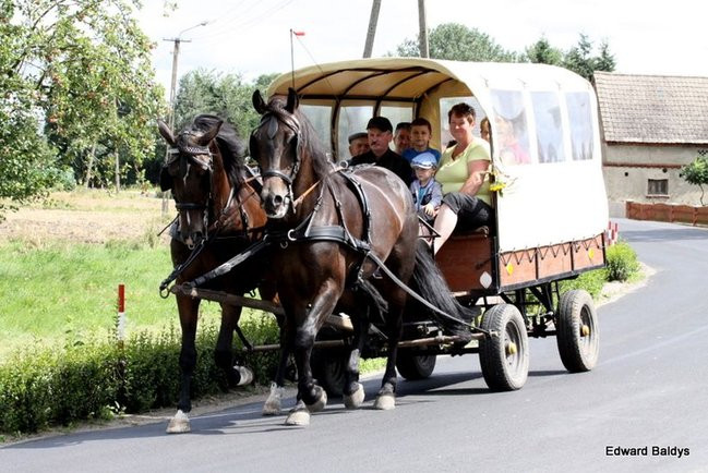 Dożynki Parafialne w Sądzi (zdjęcia)