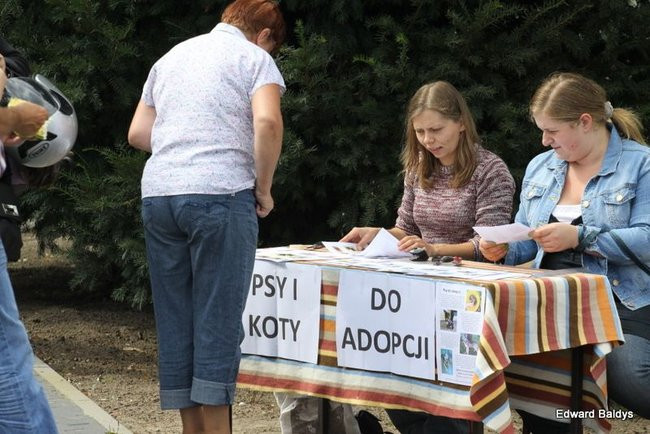 W Zaborowie zbierali na wieżę (zdjęcia)