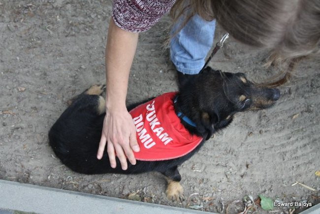 W Zaborowie zbierali na wieżę (zdjęcia)