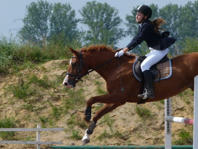 Zawody u Janowskich (zdjęcia)