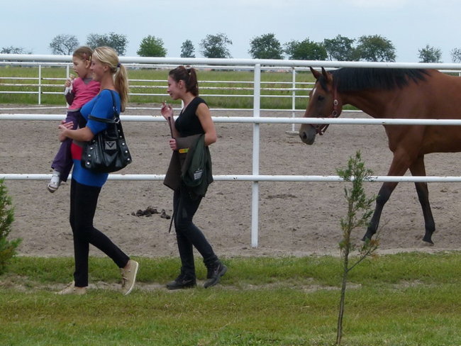 Zawody u Janowskich (zdjęcia)