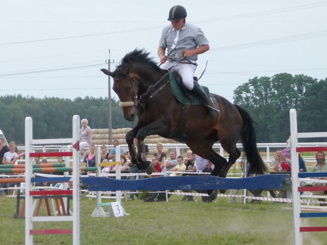 Zawody u Janowskich (zdjęcia)