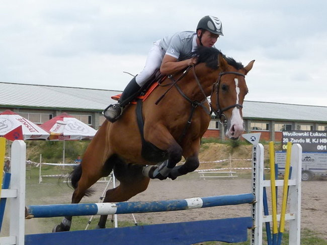 Zawody u Janowskich (zdjęcia)