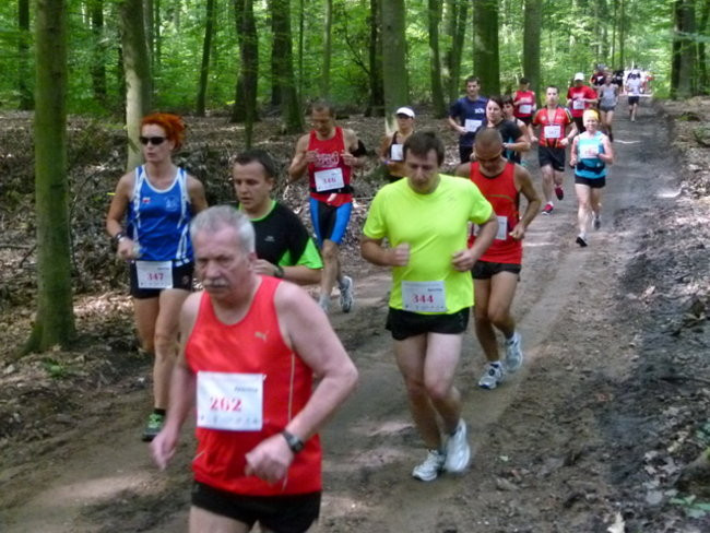 Koleżeńskie bieganie w Karczmie Borowej (zdjęcia)