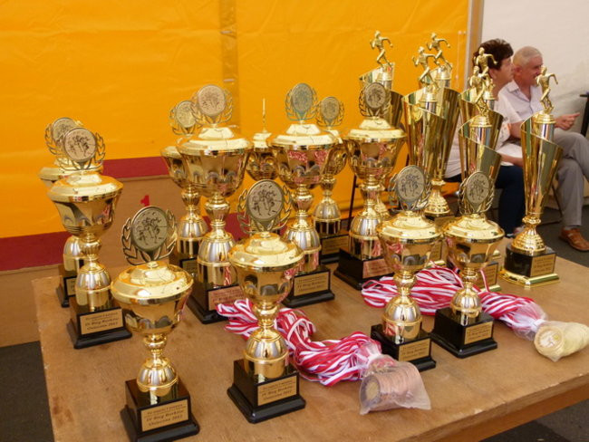 Osieckie święto (zdjęcia)