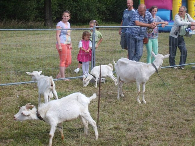 Leszczyńskie Smaki palce lizać (zdjęcia)