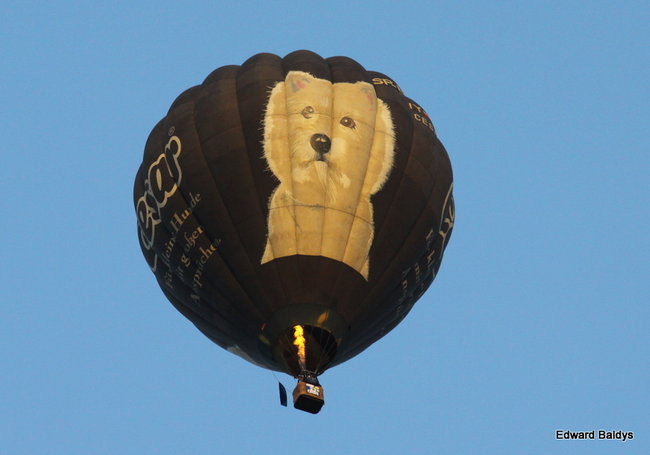 Balony nad Lesznem (zdjęcia)