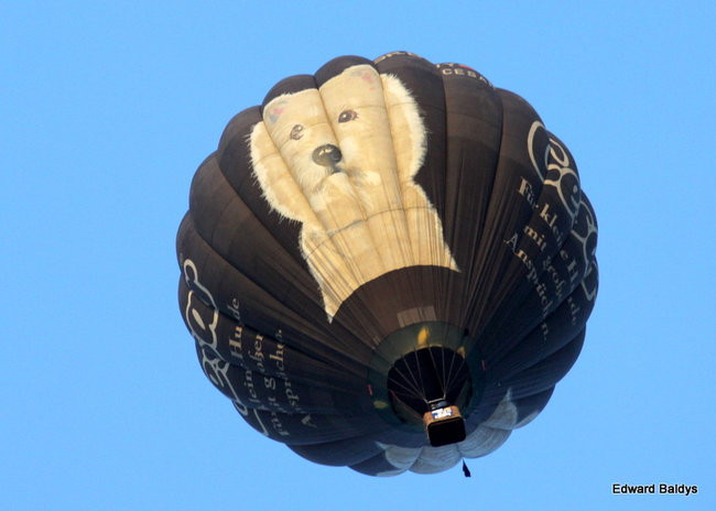 Balony nad Lesznem (zdjęcia)