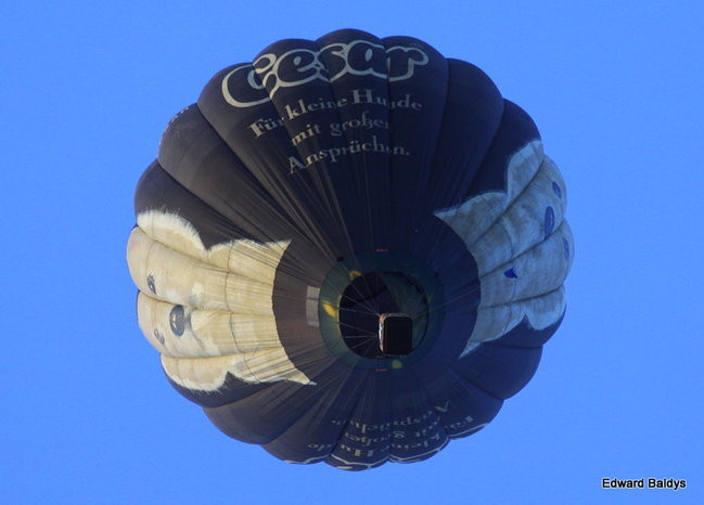 Balony nad Lesznem (zdjęcia)