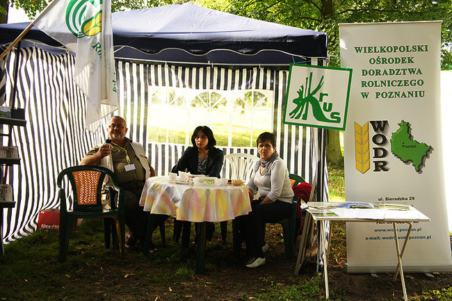 Wielkopolska stolica wieprzowiny (zdjęcia)