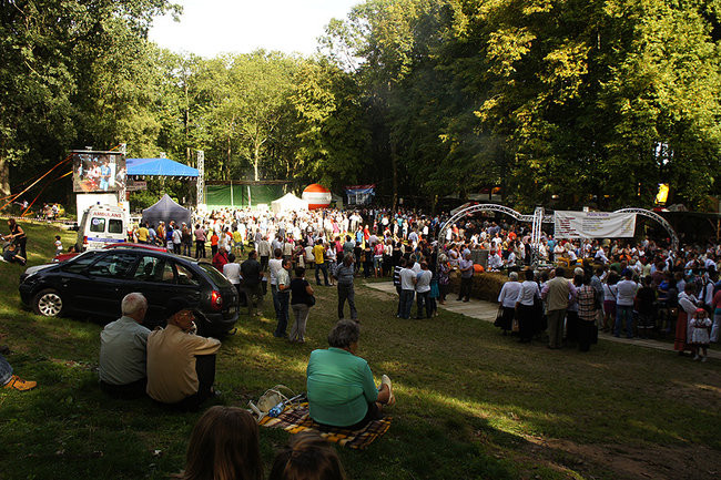 Wielkopolska stolica wieprzowiny (zdjęcia)