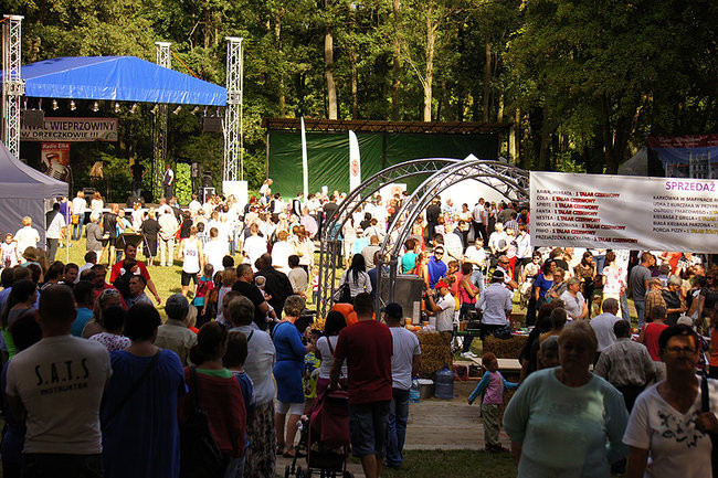 Wielkopolska stolica wieprzowiny (zdjęcia)