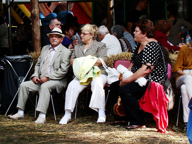 Wielkopolska stolica wieprzowiny (zdjęcia)