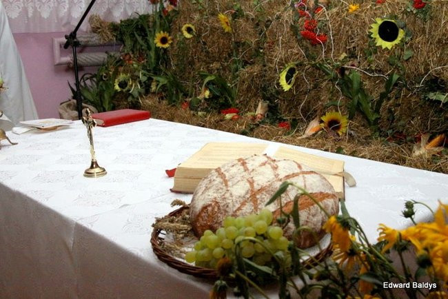 Święto Plonów w Wojnowicach (zdjęcia)