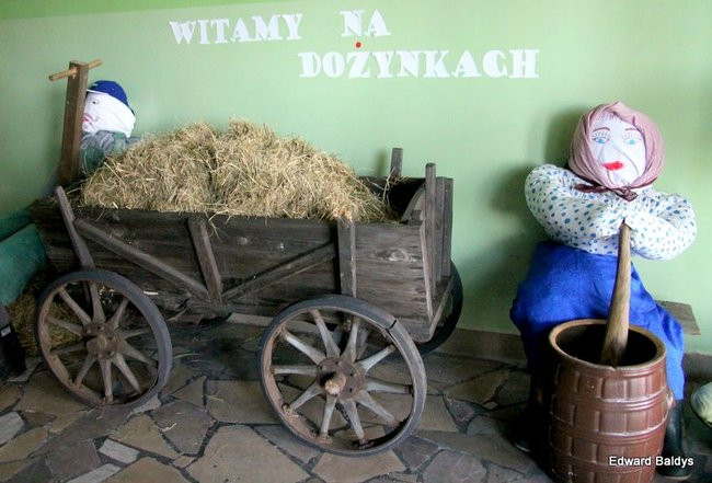 Święto Plonów w Wojnowicach (zdjęcia)