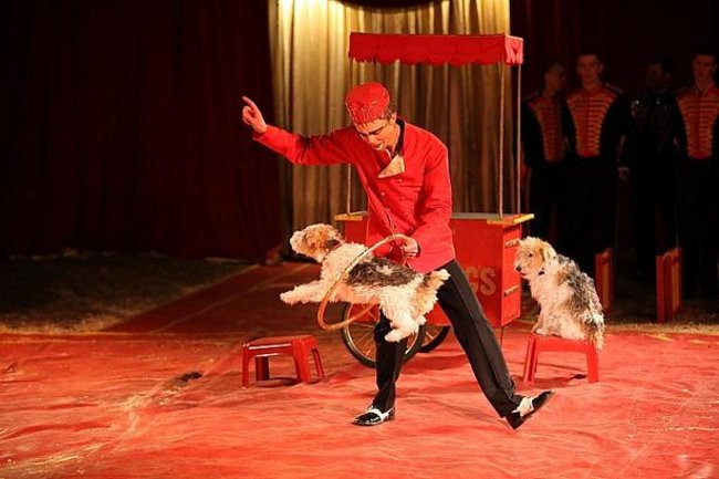 Cyrk przyjedzie do Leszna (zdjęcia)