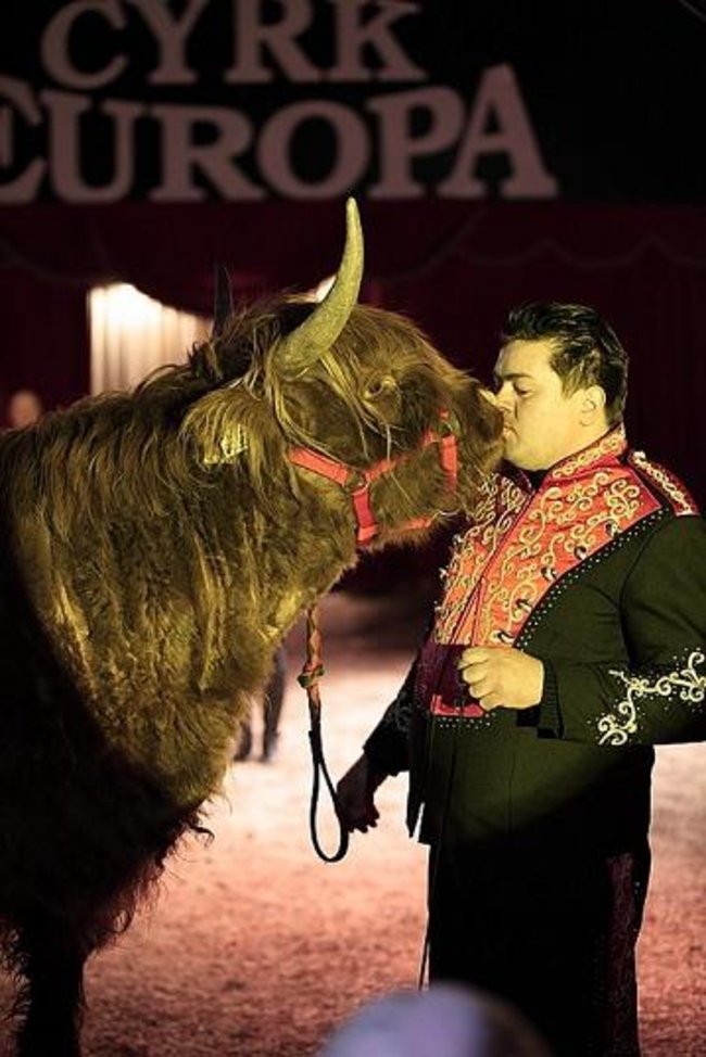 Cyrk przyjedzie do Leszna (zdjęcia)