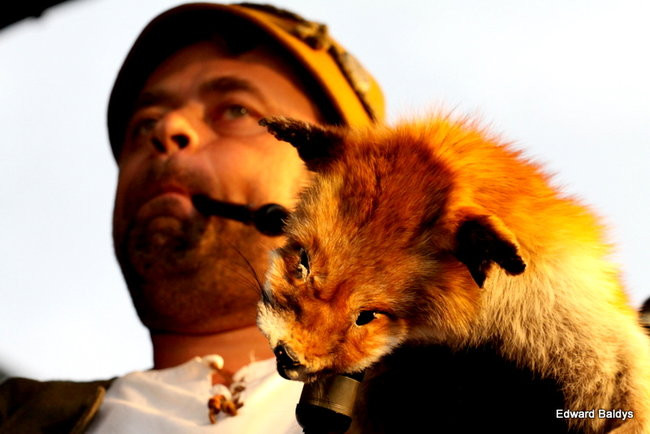 Dni Muzyki i Folkloru na rynku (zdjęcie)