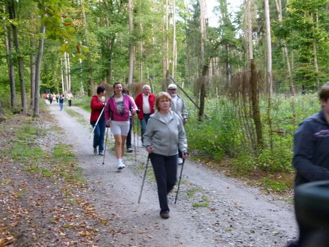 Z kijkami przez gminę Lipno (zdjęcia)