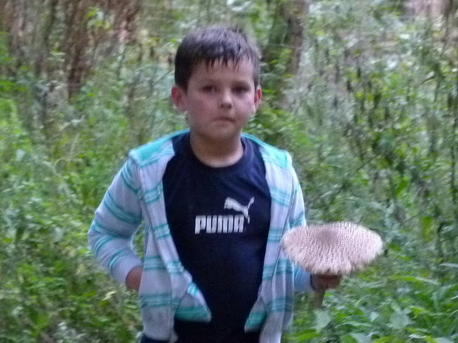 Z kijkami przez gminę Lipno (zdjęcia)