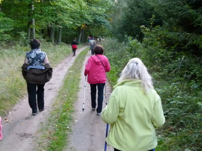 Z kijkami przez gminę Lipno (zdjęcia)